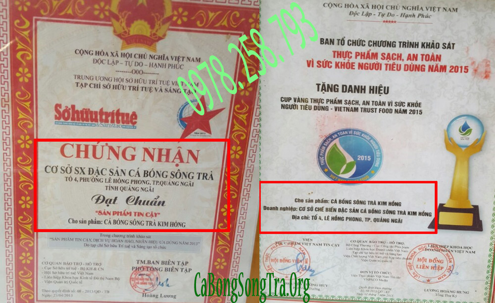 chứng nhận cá bống sông Trà Kim Hồng đạt chuẩn